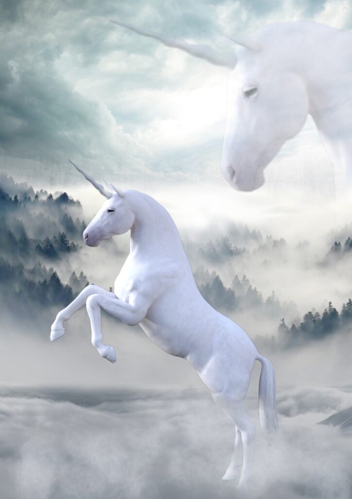 unicorn, landscape, the atmosphere-1737897.jpg